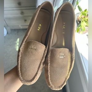 Women’s 6.5 Coach Amber Driver Loafer Suede